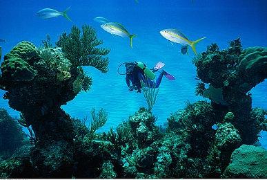 Fami通新一周销量榜：SE《三角战术》销量第一